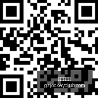 哈曼评小狮,子国家队表,起伏不定,广州赛马会,赛程安排,赛果查询,马匹资料,比赛分析