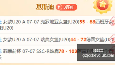 广州赛马会 113541